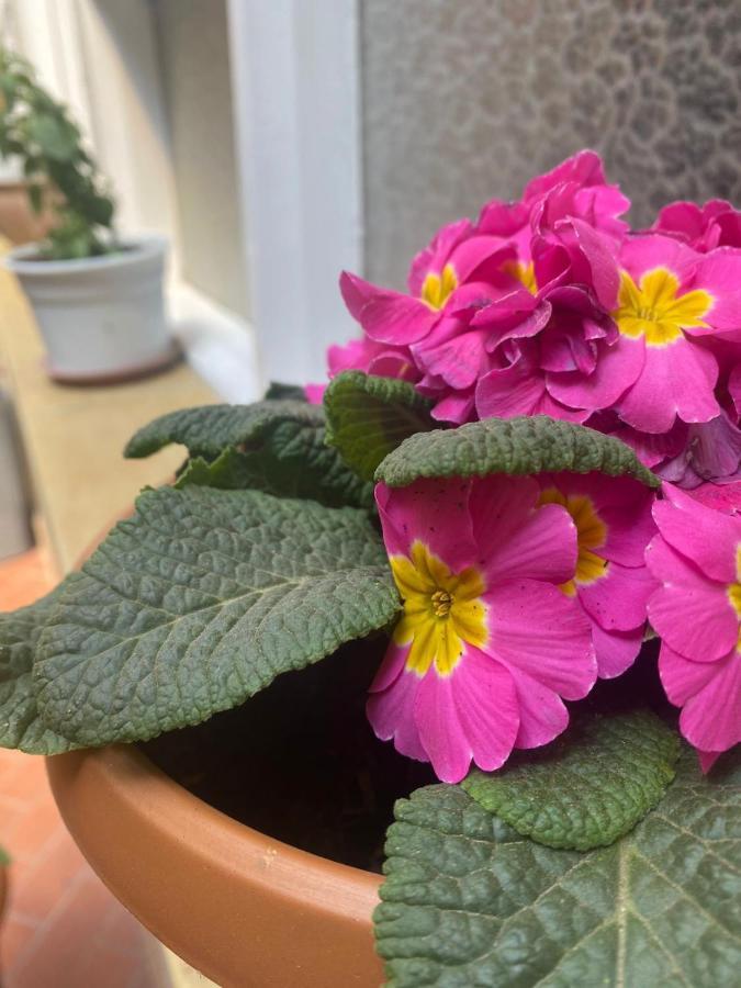 Bed and Breakfast La Negrita Host Sucre Exterior foto